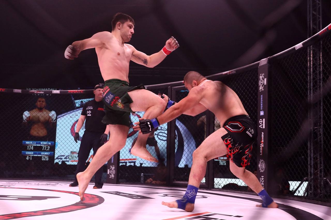 Mma series. Мма сериес. Mma series 80. Ринггёл мма сериес. Лйбл.