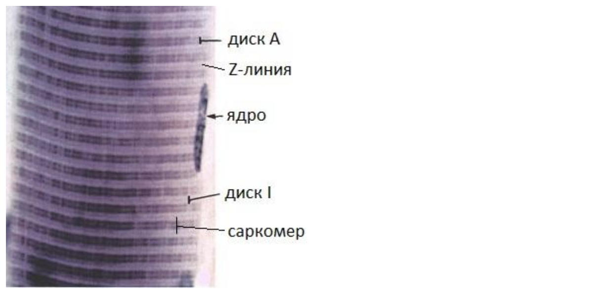 Ein Bild, das Text, Screenshot, Design enthält.
KI-generierte Inhalte können fehlerhaft sein.