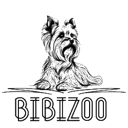 Зоостудия BibiZoo