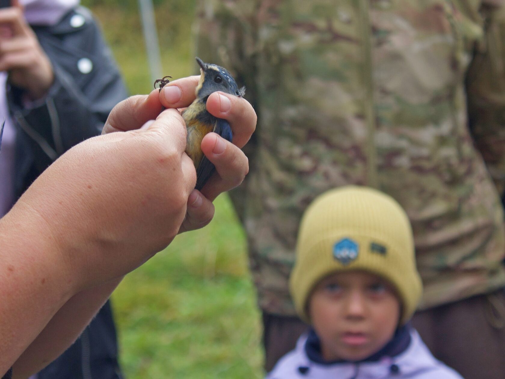 на станции кольцевания птиц «Байкальская»