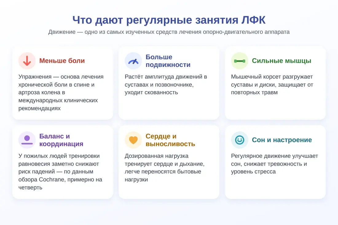 Польза ЛФК: меньше боли, больше подвижности, сильные мышцы, баланс, выносливость, сон и настроение