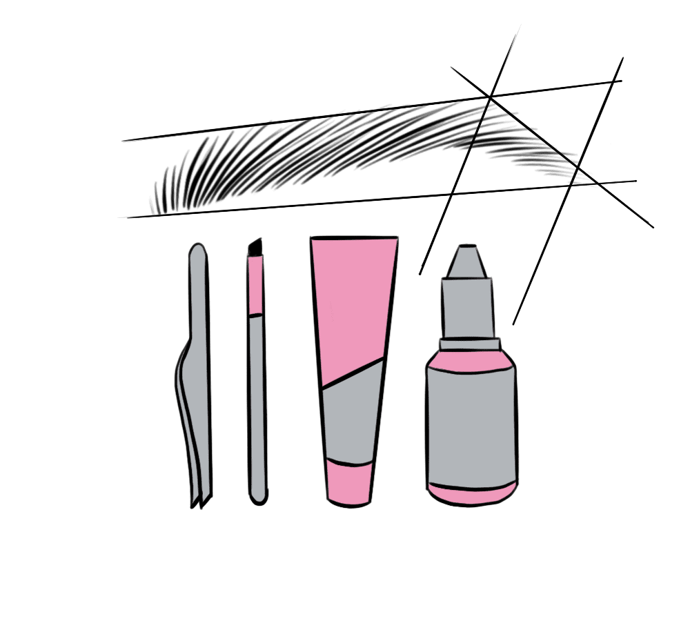 Иллюстрация, бровист