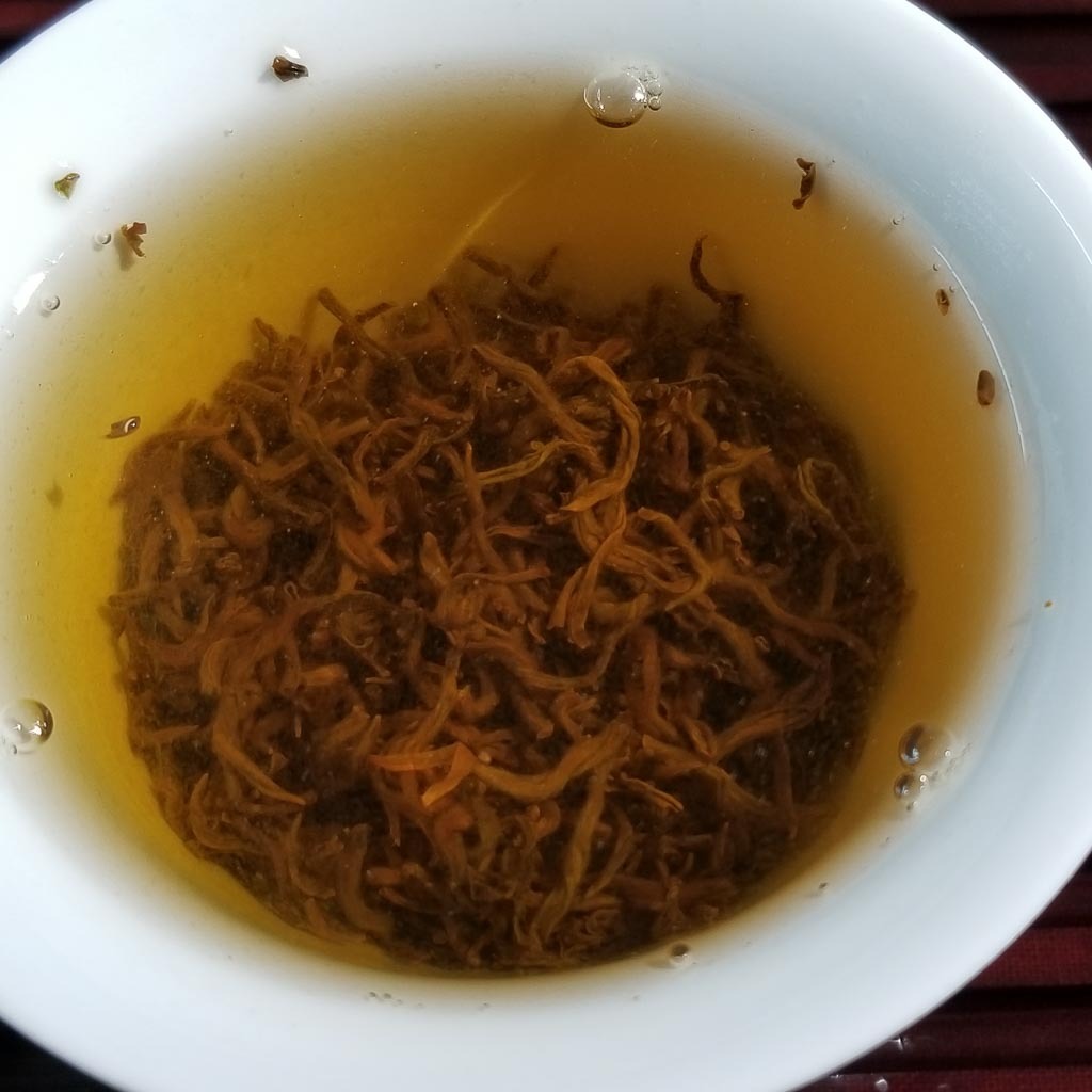 Amber Bailin Tea Infusion