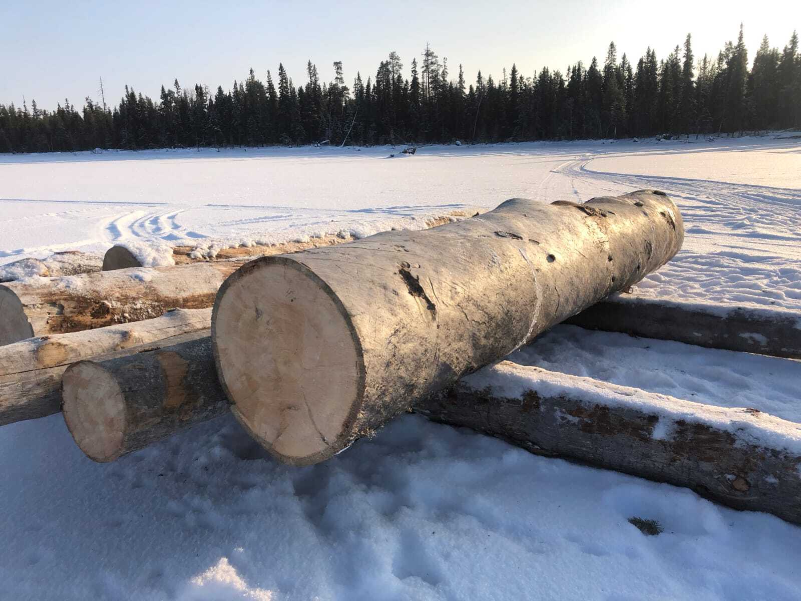 Дома и бани из кело-сосны, карельский сухостой