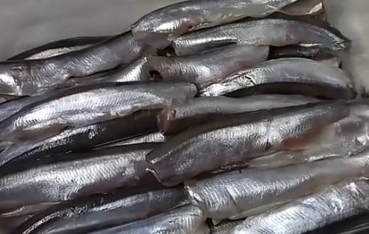 Приготовление маринованной мойвы в домашних условиях: шаг 1