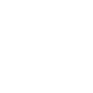 website icon