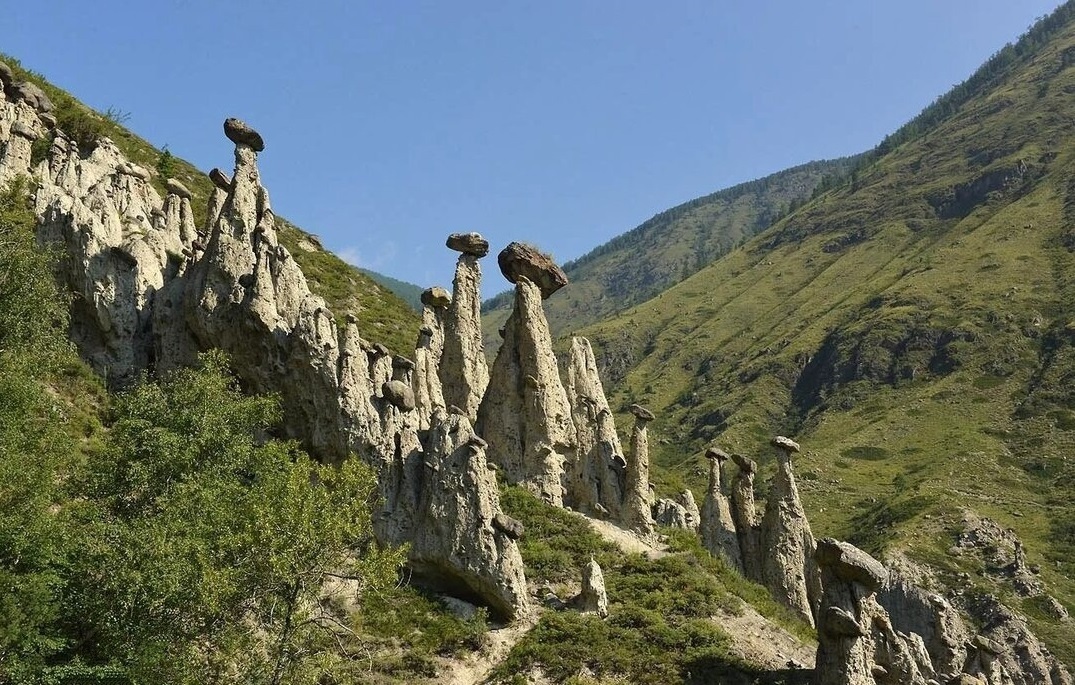 Каменные грибы горный алтай фото Алтай: комфортный автотур