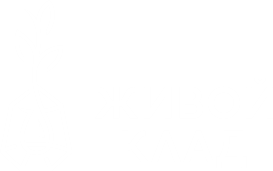 Делаем полезное вкусным!