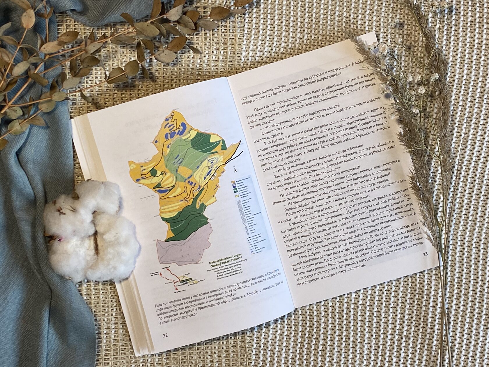 Зепп Хольцер