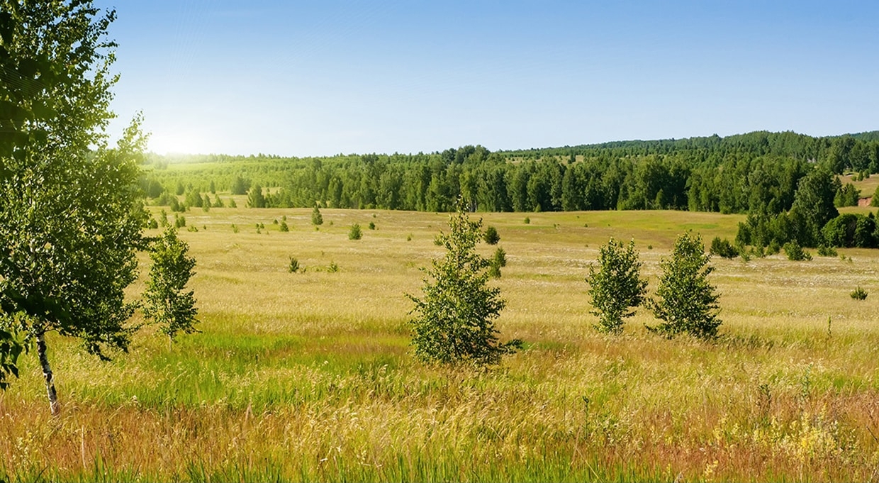 Русские просторы картинки