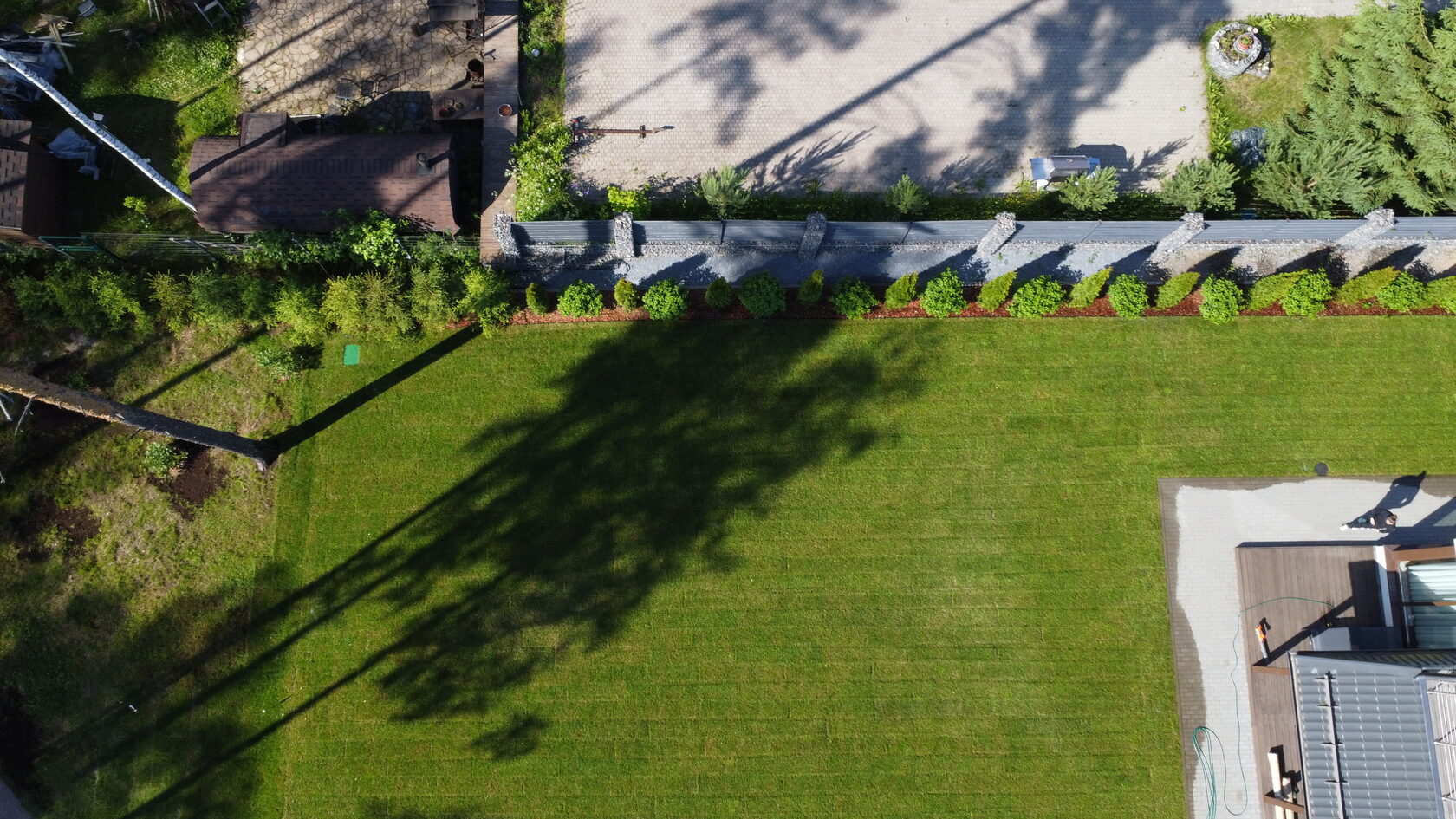 озеленение участка