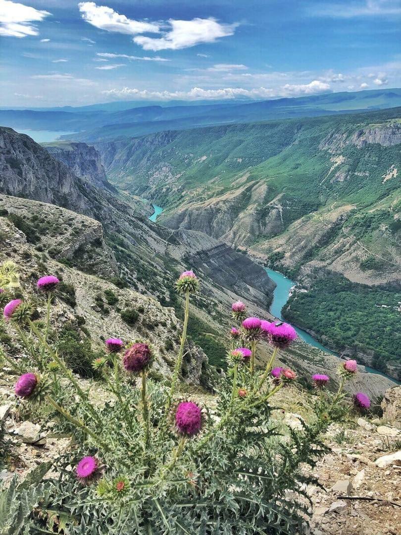 Природные дагестана. Сулакский каньон. Природа Дагестана Сулакский каньон. Гунибский каньон Дагестан. Дубки Дагестан каньон.