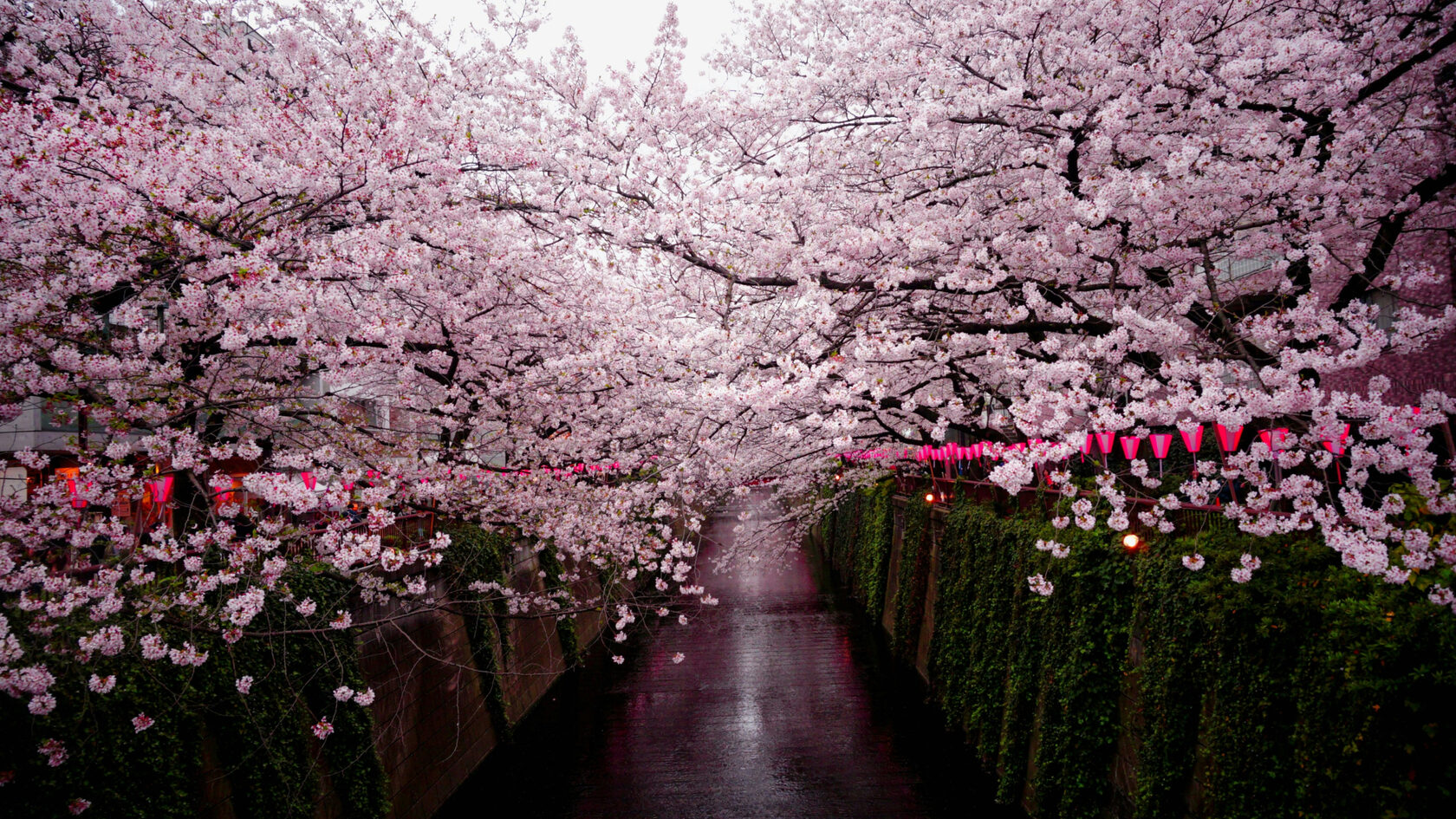 Когда лучше ехать в Японию?