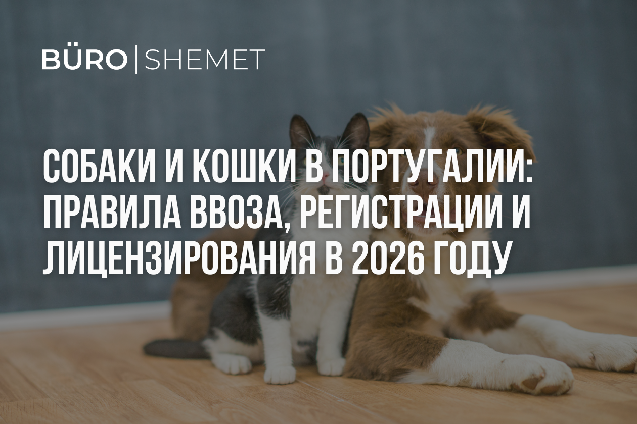 Собаки и кошки в Португалии