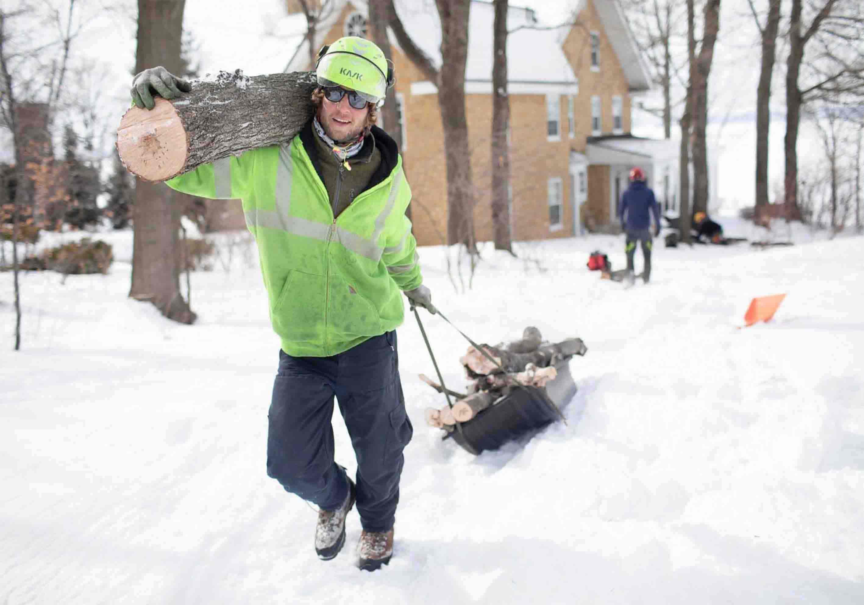 Удаление дерева целиком с оттяжкой, при наличии свободного пространства для падения