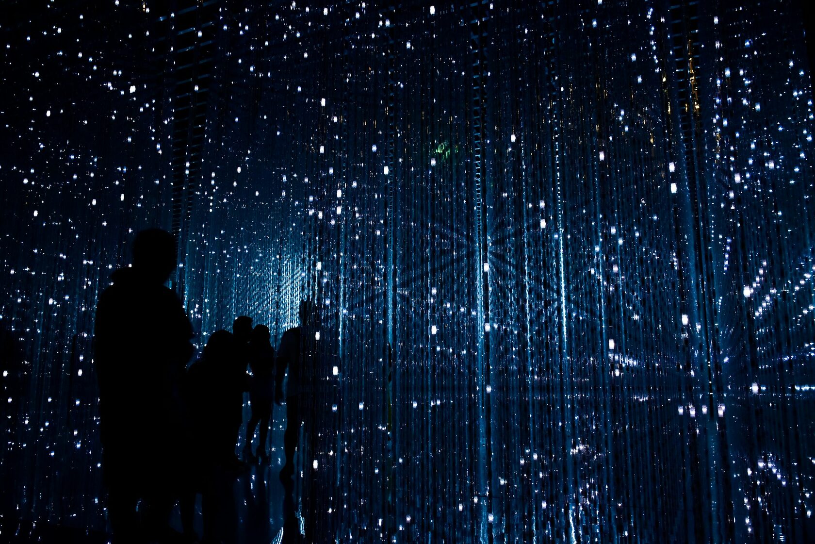 Digital Installation Series