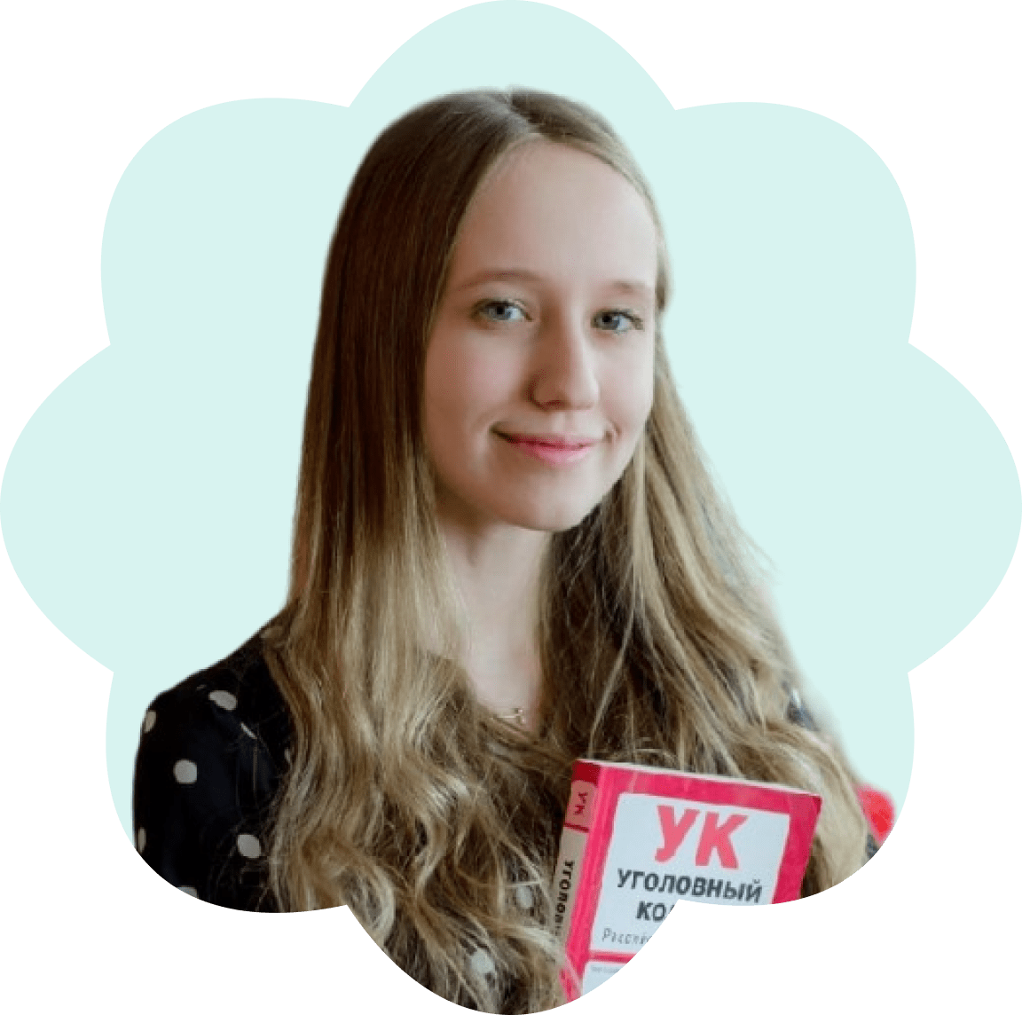 Подготовка к олимпиаде по обществознанию — курсы от Meinkurs