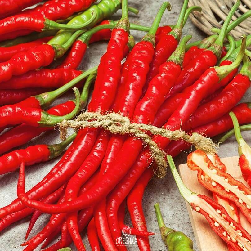 Seeds of Hot pepper Spark (Capsicum) — 10 pcs