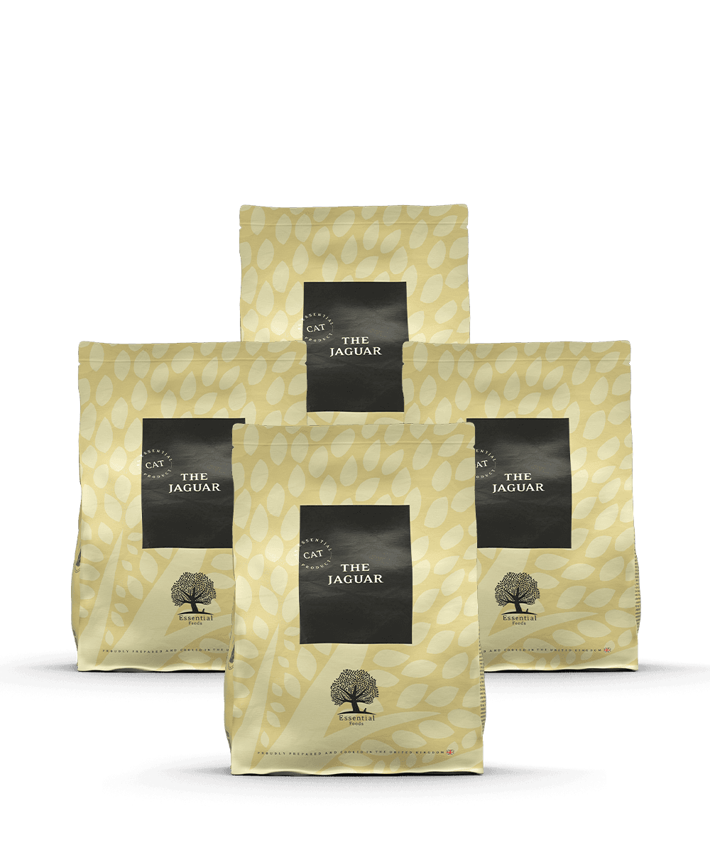 essential-the-jaguar-4-x-1-5-essential-foods
