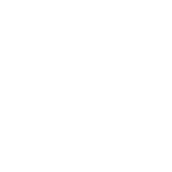 Портретная экспертиза