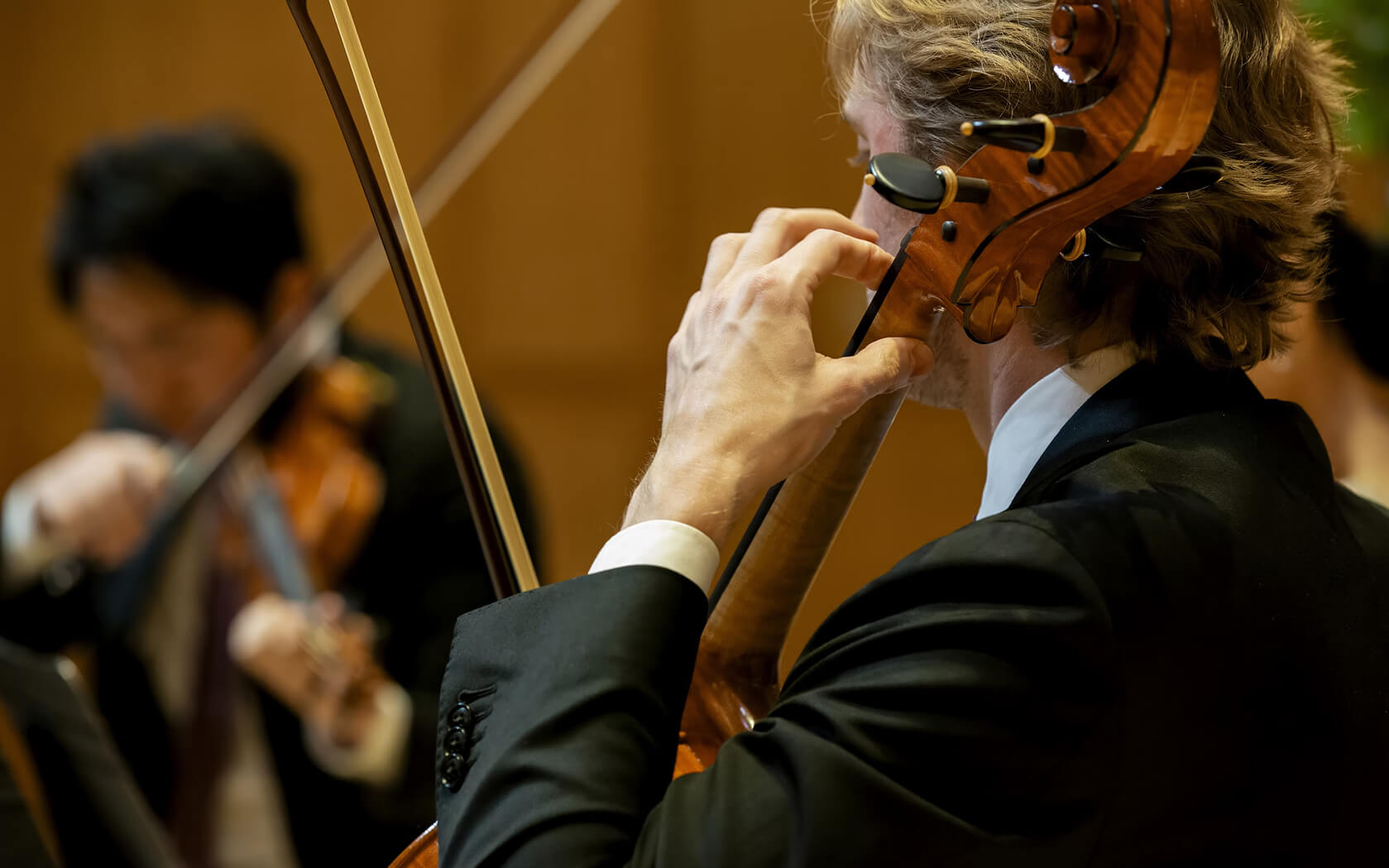 Фото Art Music Orchestra