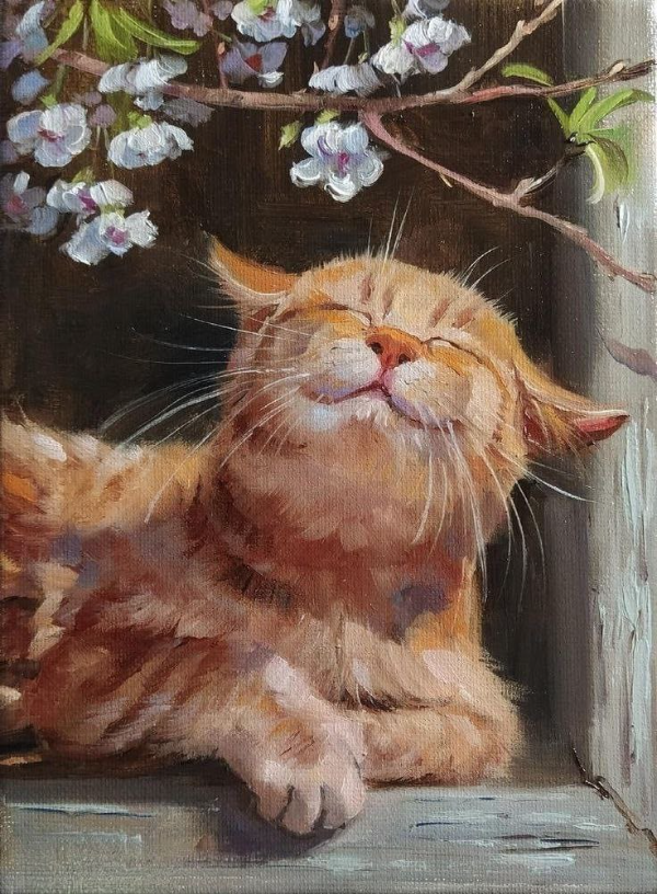 Рыжий кот