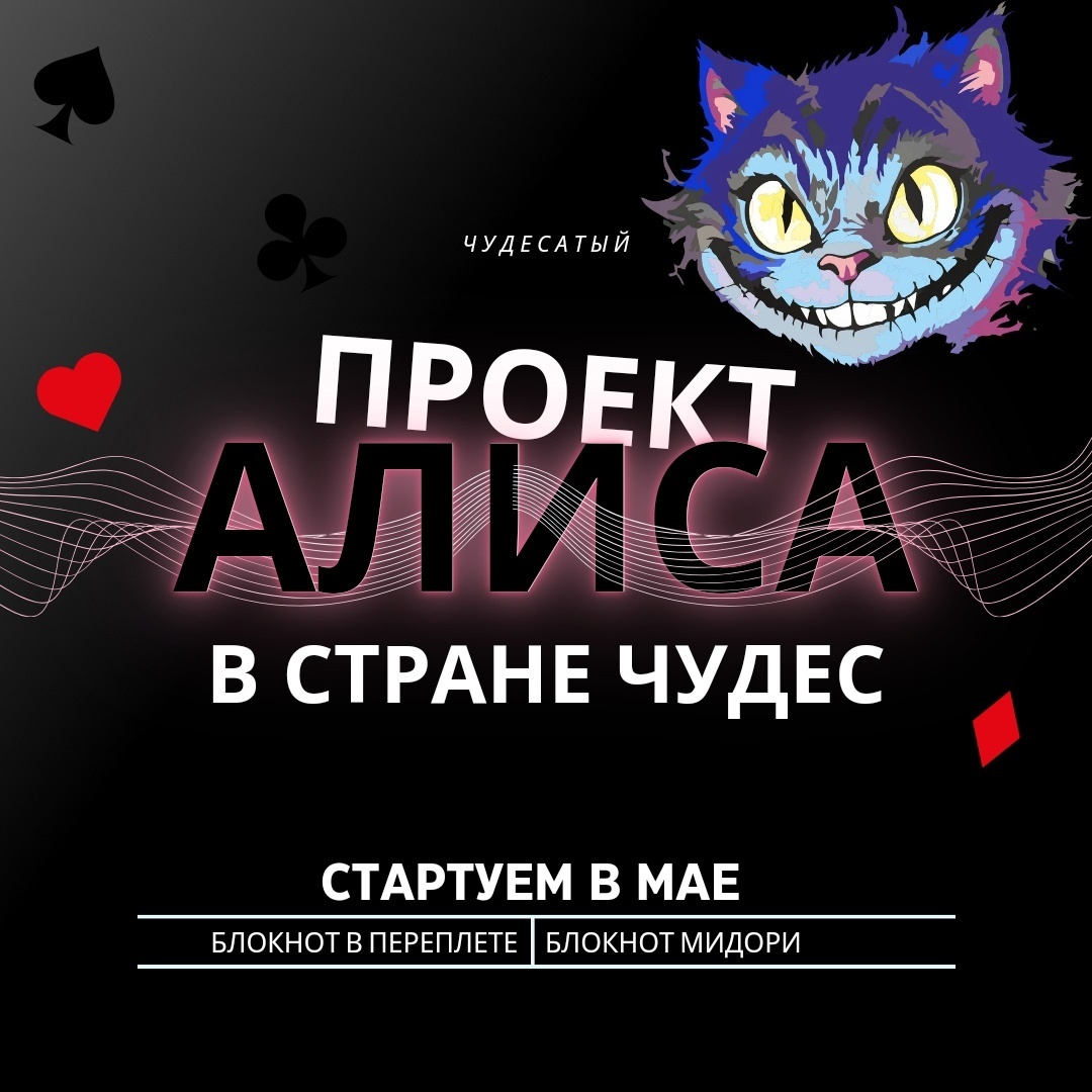 Нигде ответил кот нормальных не бывает. Нигде ответил кот нормальных не бывает