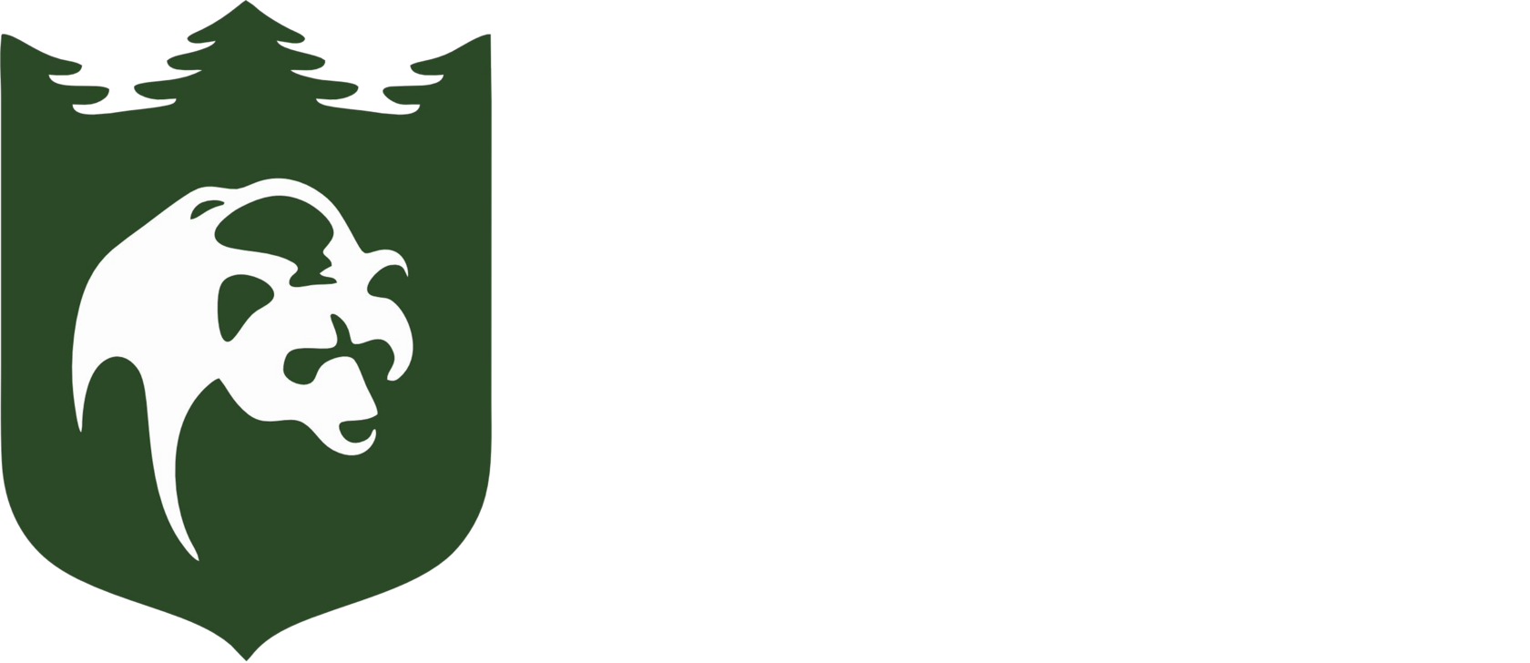 ЦПО БПЛА