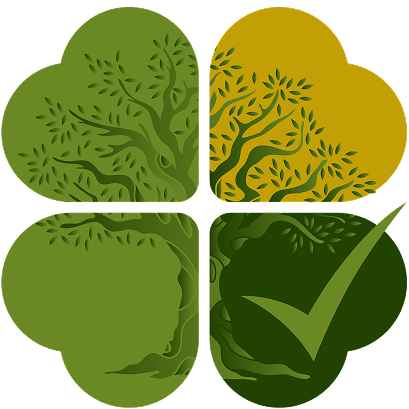  НОВАЯ ЖИЗНЬ 