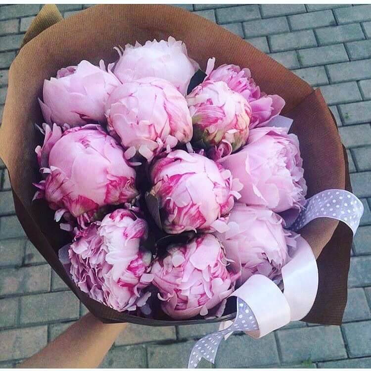 9 peonies