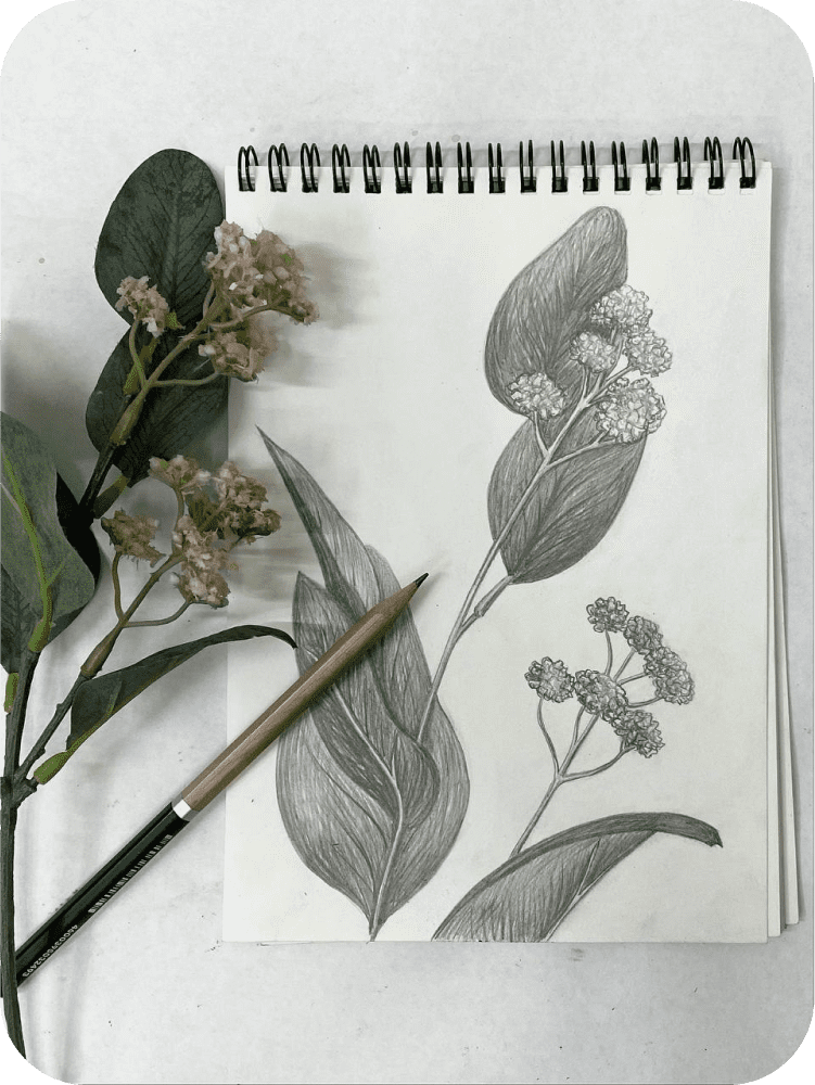 Курсы и уроки рисования карандашом для начинающих взрослых