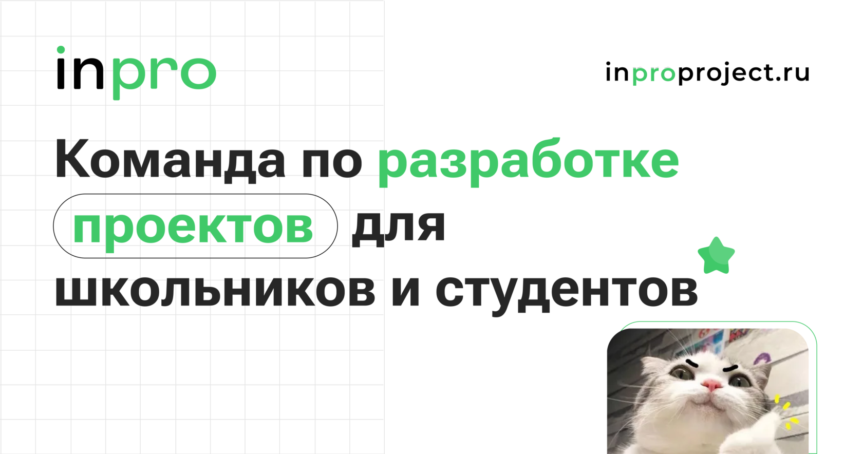 Купить индивидуальный проект