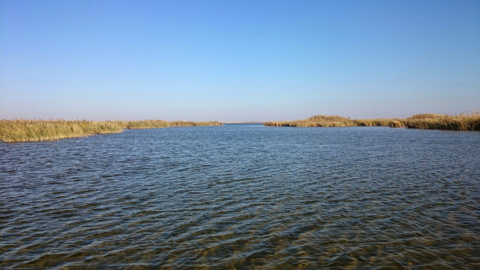 озеро в ростовской области