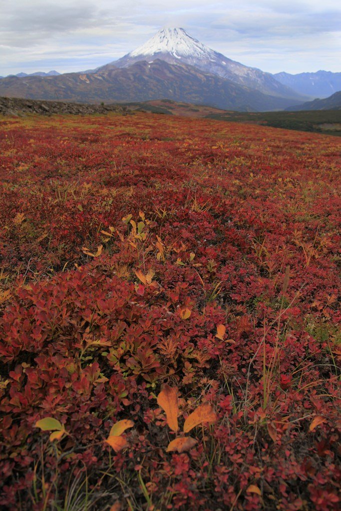 осенняя Камчатка