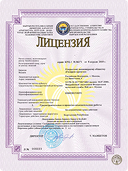 Лицензия 1