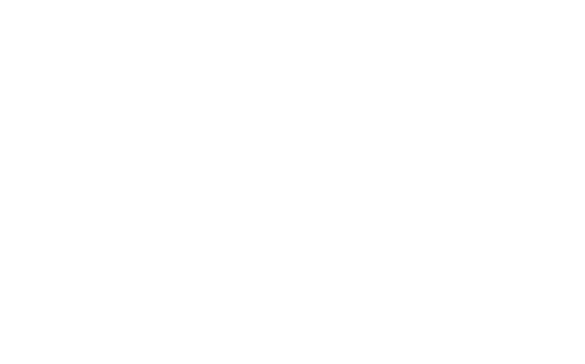 RISE APP