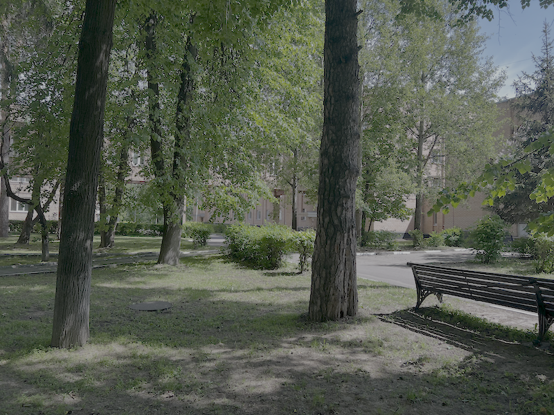 Территория санатория-профилактория 