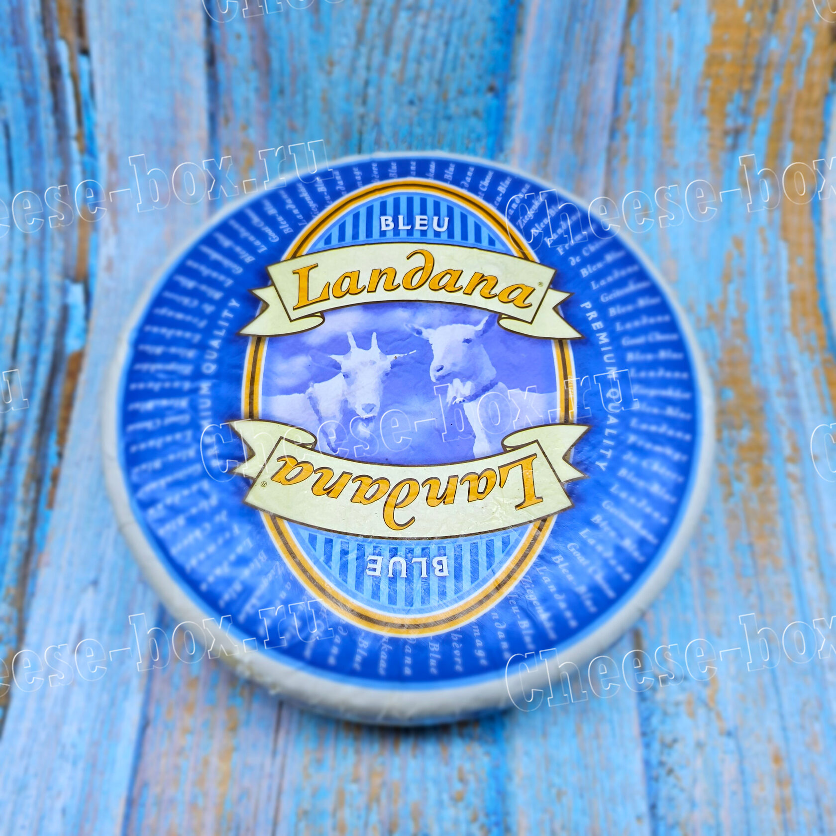 Qanday qilib qizlar ozlariga blowjob beradilar