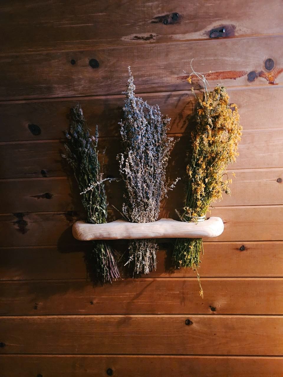 Сбор трав в лесу Подмосковья возле глэмпинга Под кронами