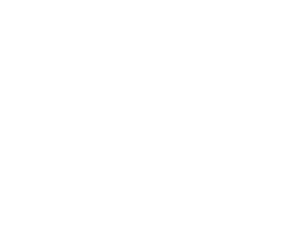 NOT NORMAL CAMP
