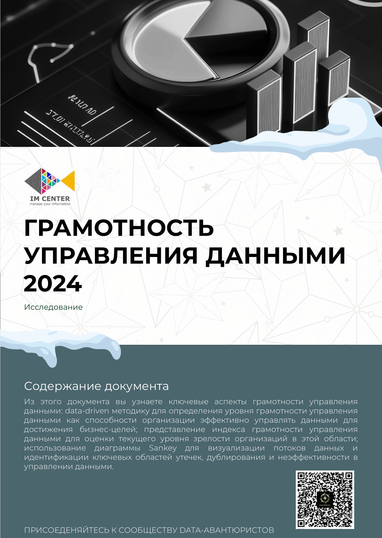 Грамотность управления данными 2024 — обложка