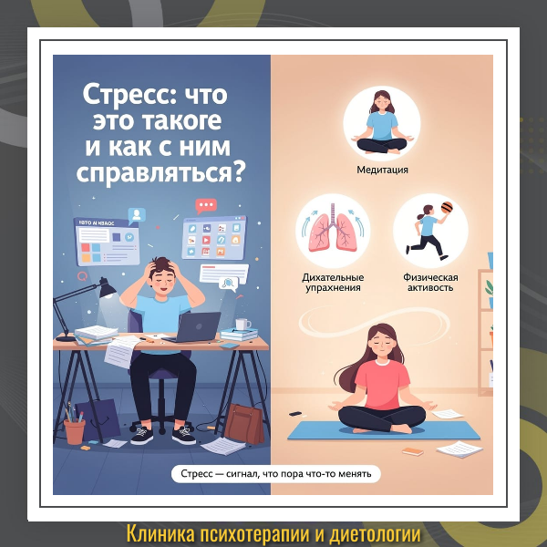 Снижение холестерина в крови: диета БАДы и статины