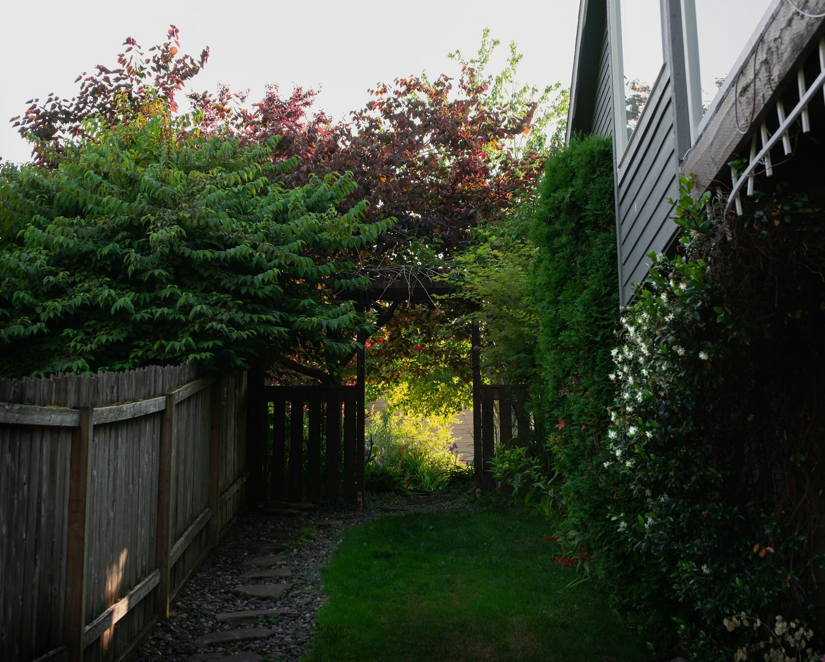 Landscape 6
