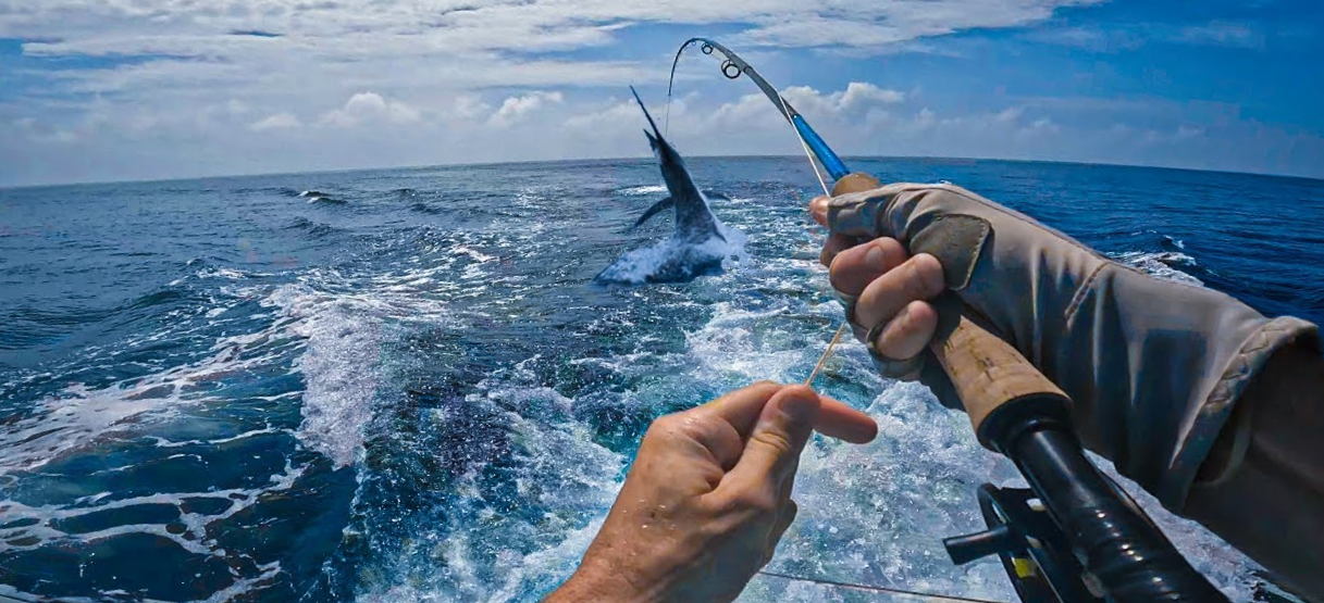 Leurre De Pêche à La Traîne 11 Pouces - Tête Concave - Marlin, Thon, Mahi Mahi (Fish Cave USA)