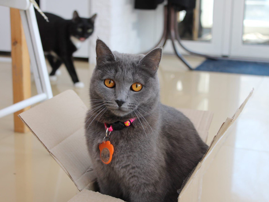 фото нанесения макияжа на лицо девушки 