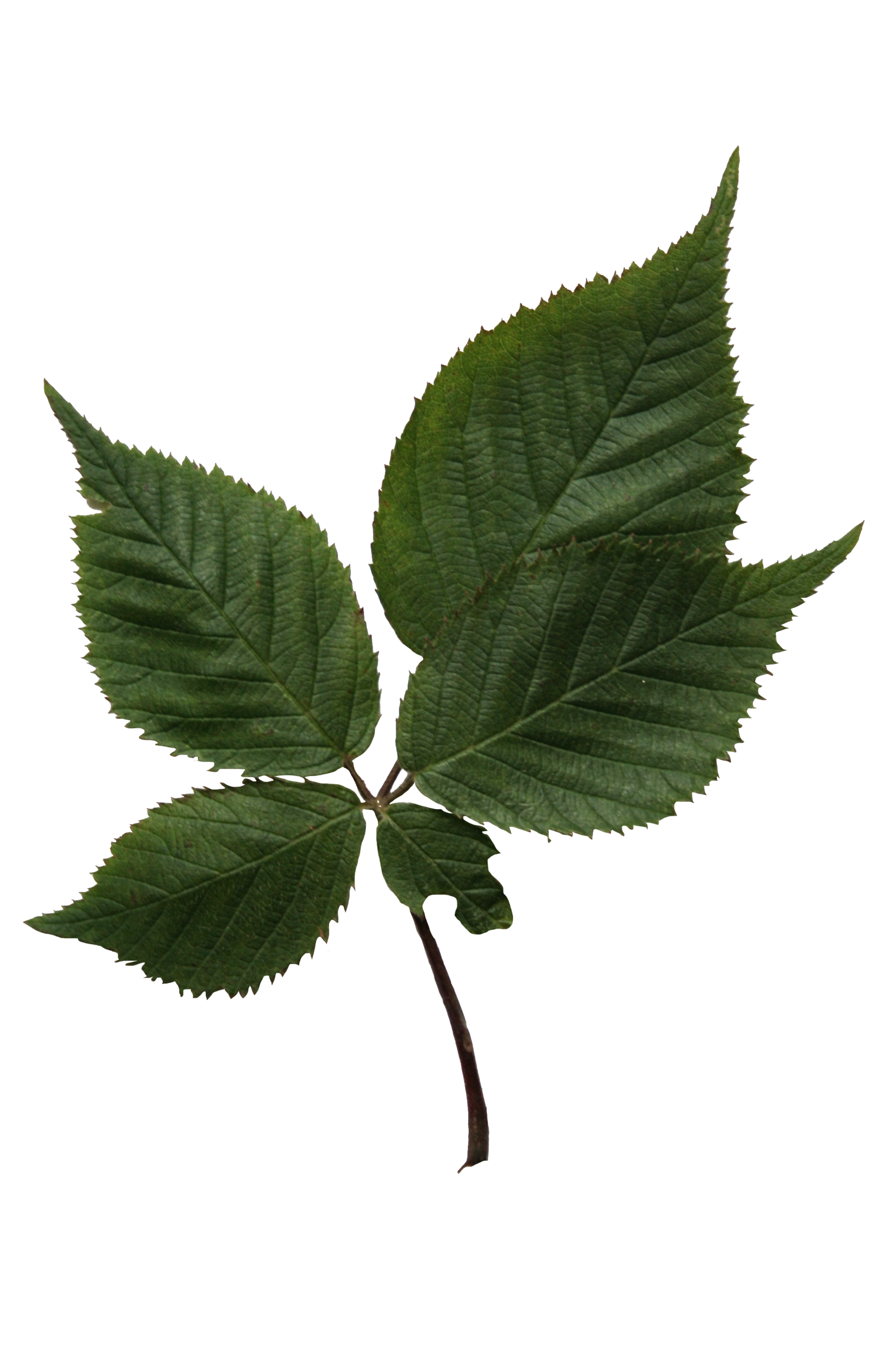 Заказать дешёвое такси в Нижнем Новгороде | Нижегородские огни