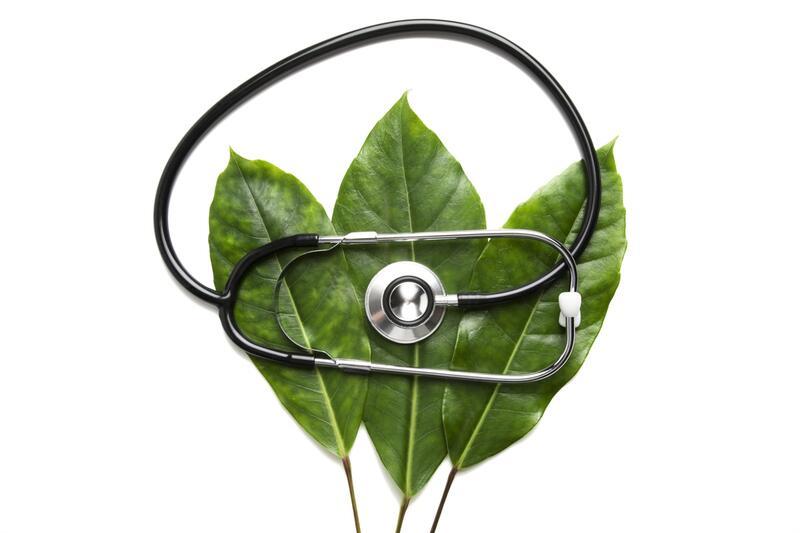 Экологический аудит