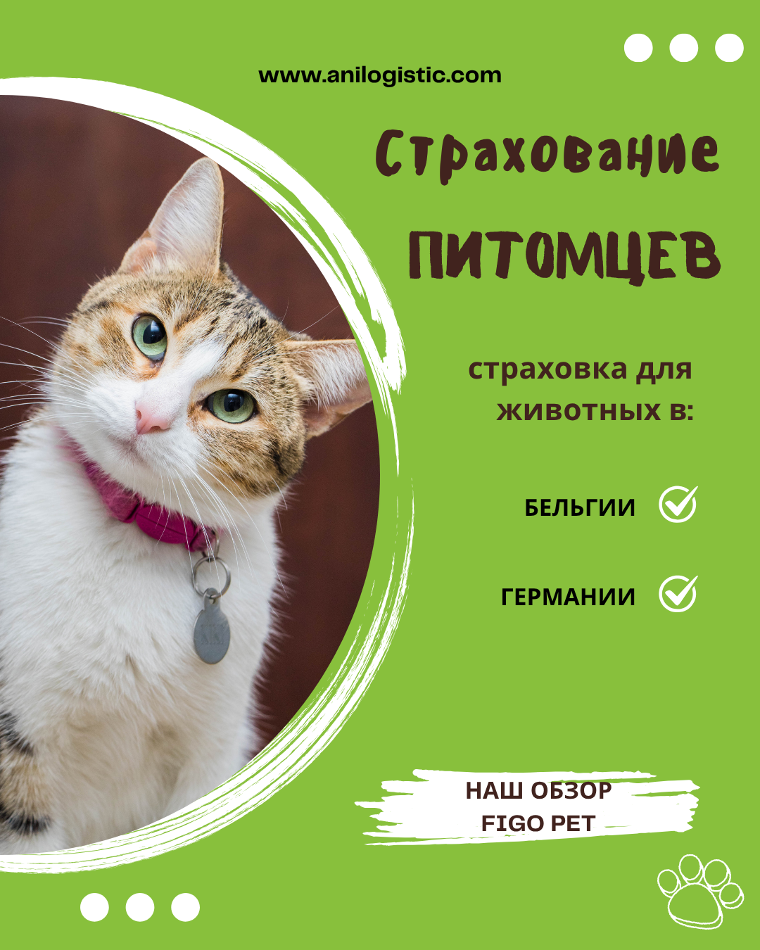 страхование Figo Pet в Европе