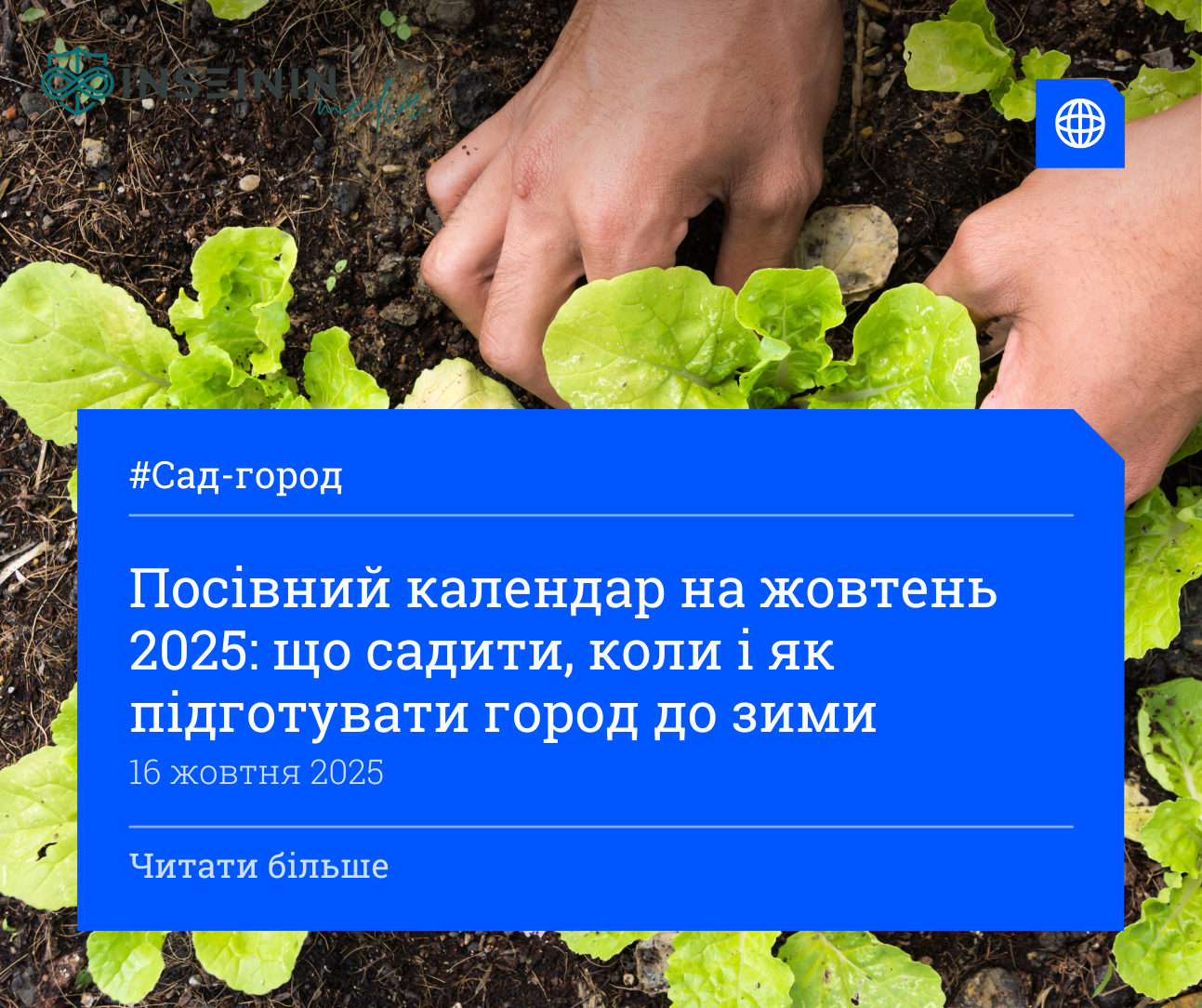 Посівний календар на жовтень 2025: що садити, коли і як підготувати город до зими