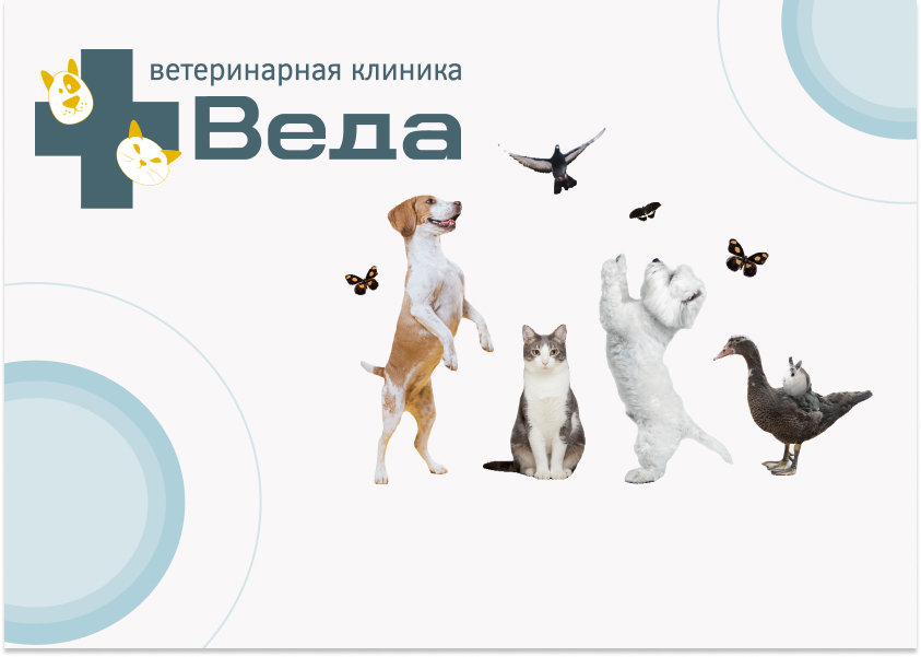 Ветеринарная клиника 